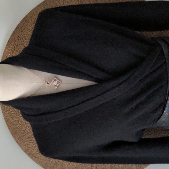 COPY - Ann Taylor Cashmere dress. Had 2 of them. - Picture 7 of 14